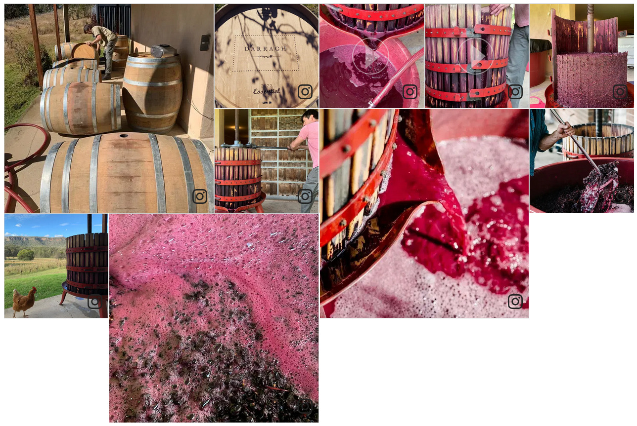 Darragh Wines Darragh Wines